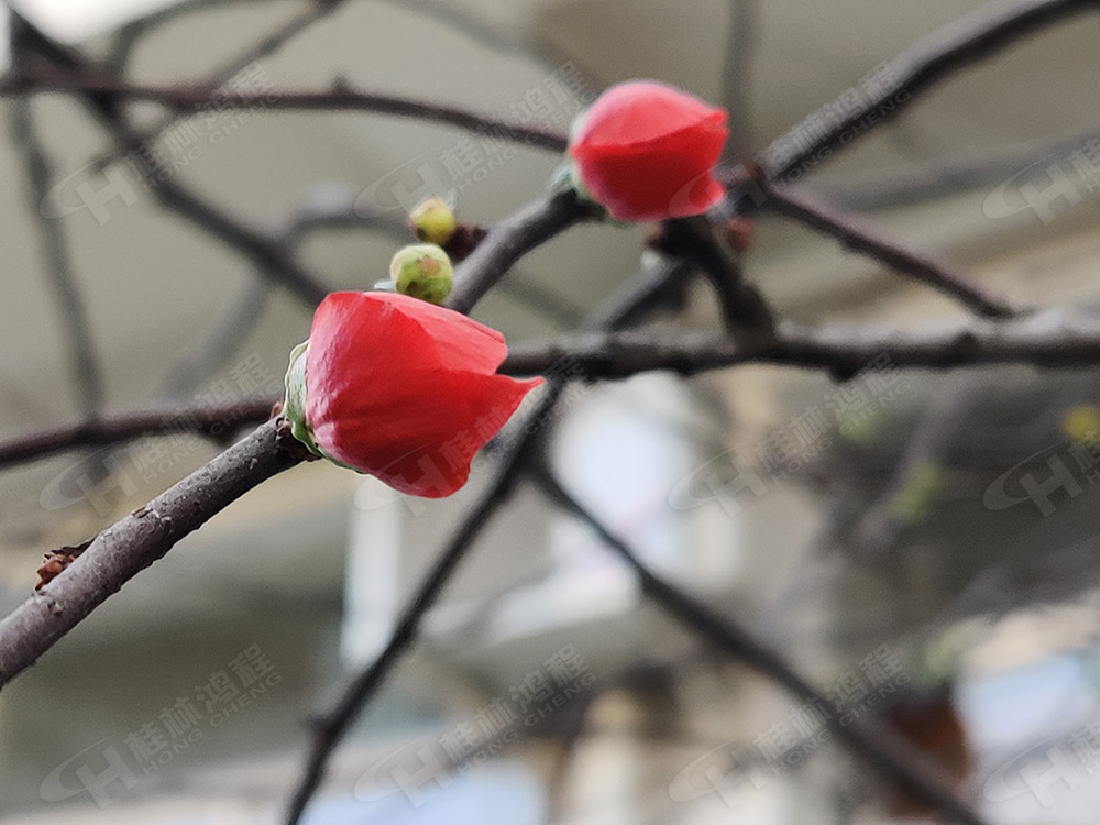 桂林鴻程花團(tuán)錦簇，滿園春色，邀您一起共賞春景，共商大計！