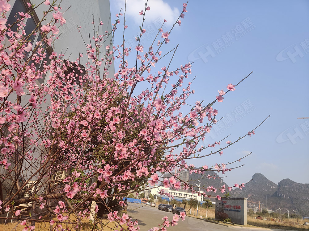 桂林鴻程花團(tuán)錦簇，滿園春色，邀您一起共賞春景，共商大計！